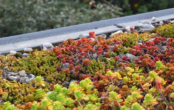 the cost of Beyton Green green roof installation