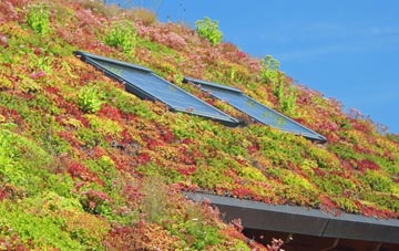 Beyton Green living roof systems