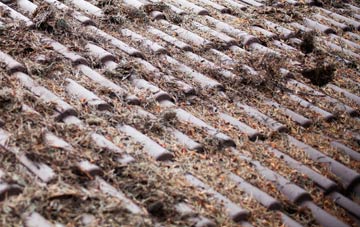 Beyton Green roof cleaning companies
