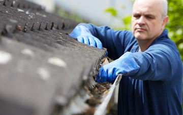 cleaning and inspecting Beyton Green roofs