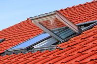 Beyton Green roof window